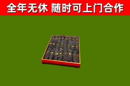 乌拉特中旗回收海参